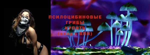 гашик Богородск