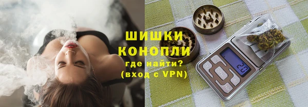 гашик Богородск