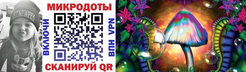 хочу наркоту  гидра зеркало  Галлюциногенные грибы Magic Shrooms  Кировград 
