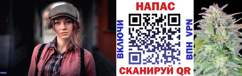 Бошки Шишки индика  купить наркотик  Кировград 